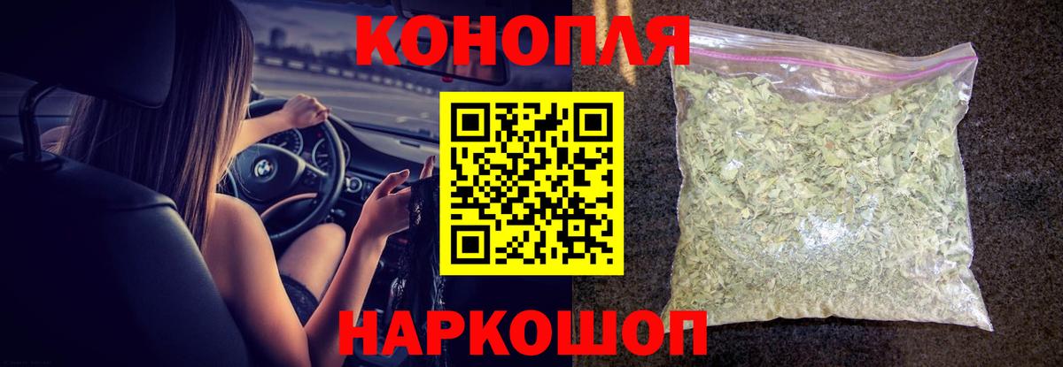 Конопля гибрид Лабинск